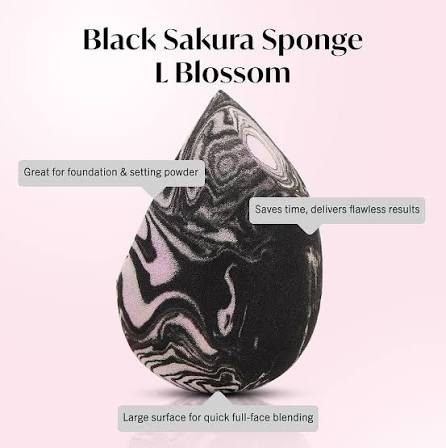 MASAMI Sponge L
