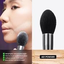 HAQUHARA Amala AS01 Powder